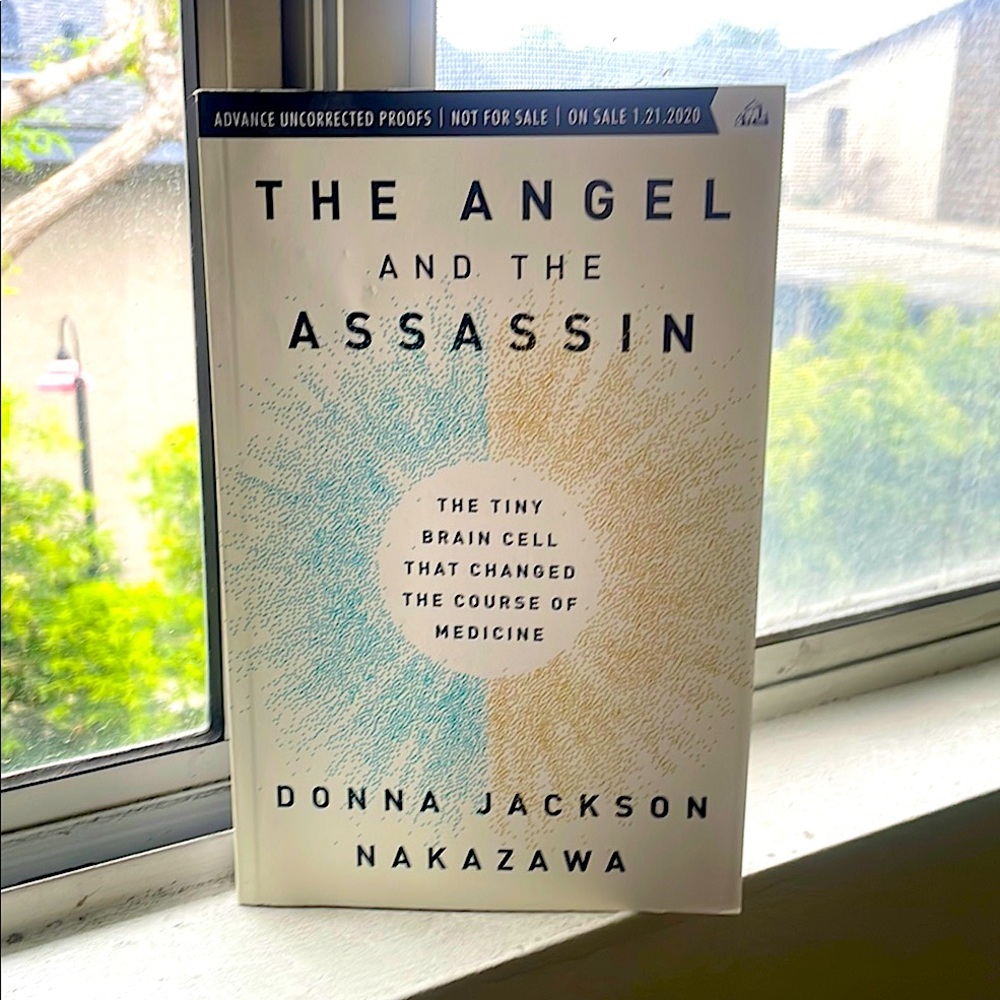 The Angel and the Assassin by Donna Jackson Nakazawa Advanced Copy Paperback